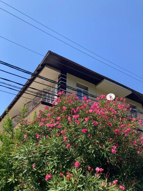 Остановились в гостевом доме у Виктории в Солониках. 08 Остановились в гостевом доме у Виктории в Солониках. 08