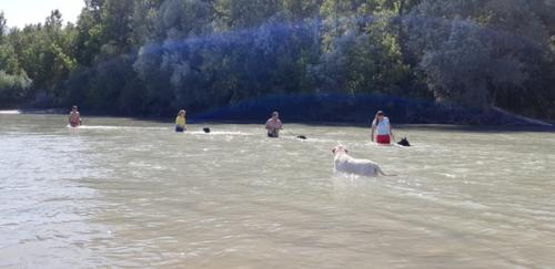 Приятное с полезным. 08