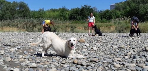 Приятное с полезным. 02