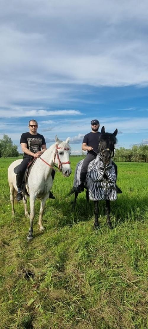 Влияние верховой езды на мужское здоровье. 04 Влияние верховой езды на мужское здоровье. 04