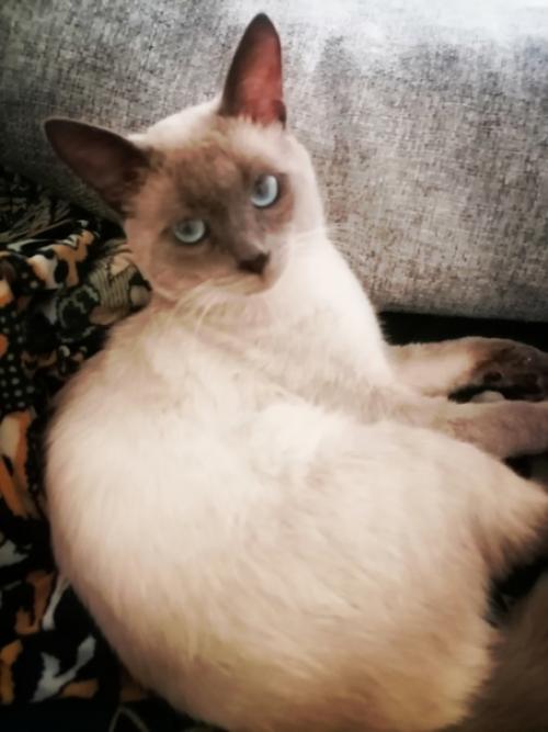 Калуга.  12. 07. 23. 02