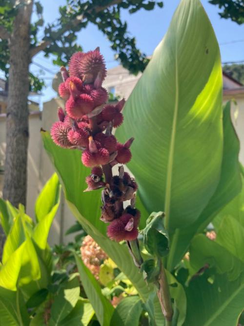 Остановились в гостевом доме у Виктории в Солониках. 04 Остановились в гостевом доме у Виктории в Солониках. 04