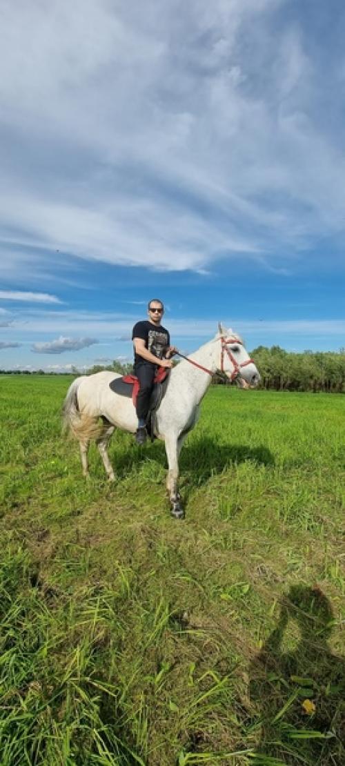 Влияние верховой езды на мужское здоровье. 03 Влияние верховой езды на мужское здоровье. 03