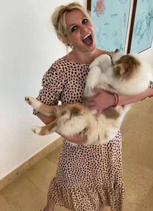 Бритни спирс оплачивает Сэму асгари квартиру после разрыва отношений. 03