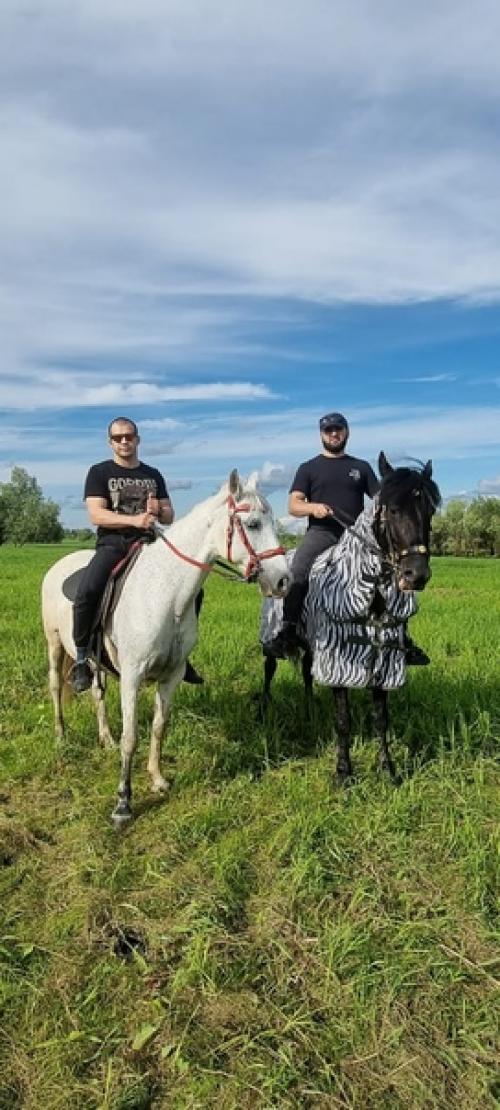 Влияние верховой езды на мужское здоровье. 02 Влияние верховой езды на мужское здоровье. 02