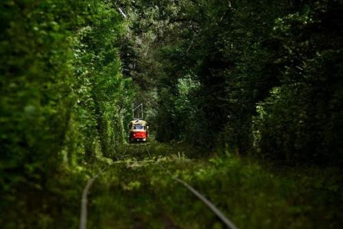 Планируй выходные в Киеве: 15 самых ярких событий этого уик-энда;. 04