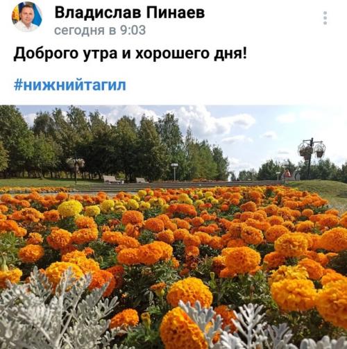 Уральский политик Наталья Крылова пригрозила мэру нижнего Тагила Владиславу Пинаеву, что принесёт ему ведро фекалий стол. 08