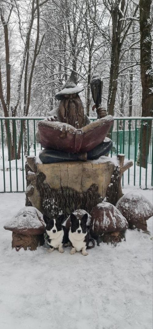 1 января - трёхчасовая прогулка по сказочному лесу. 06