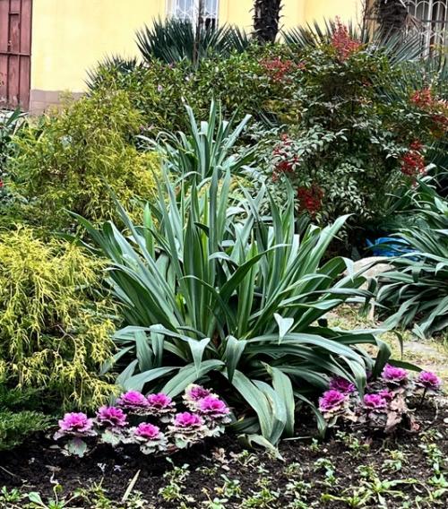 Ровно 40 дней. 01 Ровно 40 дней. 01