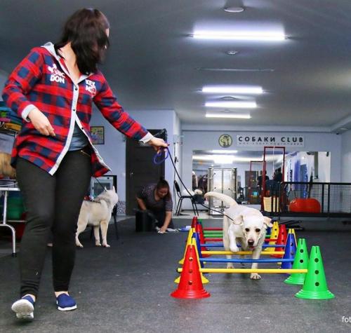 14-15 Декабря мы посетили семинар по дог - фитнесу с Людмилой вольской в Москве! 04