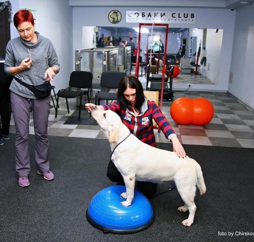 14-15 Декабря мы посетили семинар по дог - фитнесу с Людмилой вольской в Москве! 05