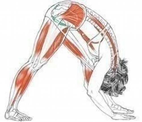 Лучшие упражнения для растяжки? 01