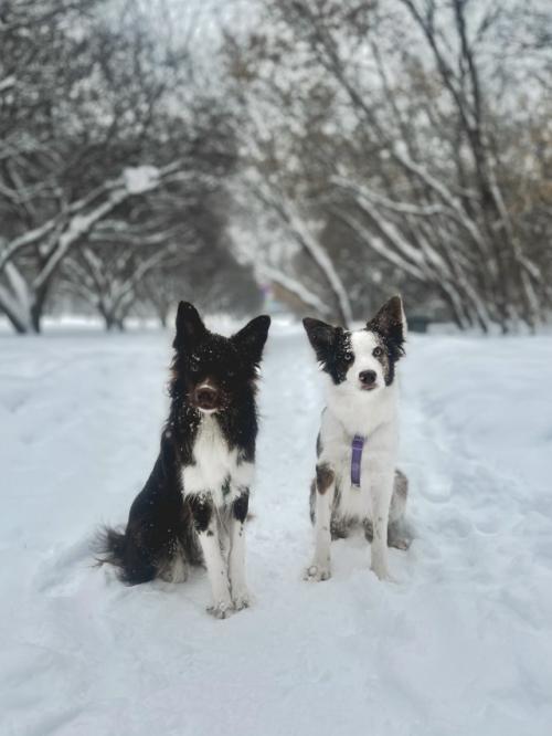 Последний день января.  