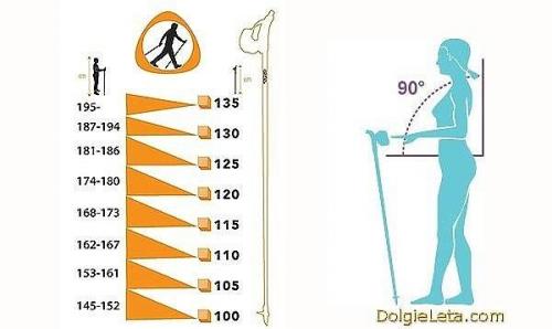 Скандинавская ходьба.  Скандинавская ходьба - это не развлечение, а вполне серьезный вид фитнеса для укрепления здоровья и для похудения. 01