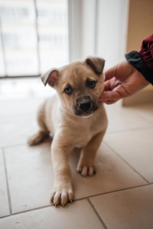 У кого ещё нет милого карапузика! 03