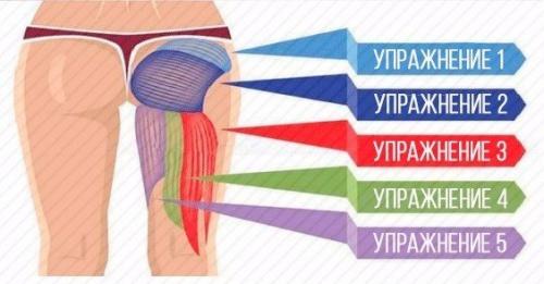Топ - 5 упражнений, чтобы проработать каждую мышцу ягодиц? 01