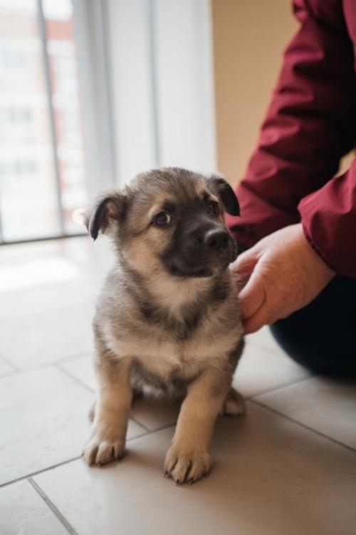 У кого ещё нет милого карапузика! 02