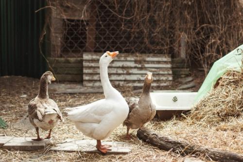 Меня зовут Маруся, 26 лет. 03 Меня зовут Маруся, 26 лет. 03