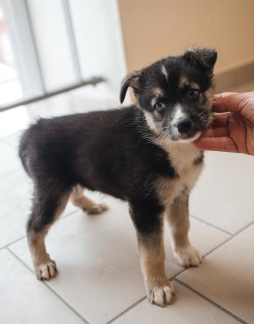 У кого ещё нет милого карапузика! 01