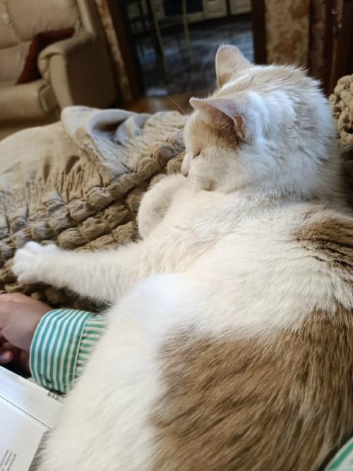 Меня зовут Маруся, 26 лет. 02 Меня зовут Маруся, 26 лет. 02