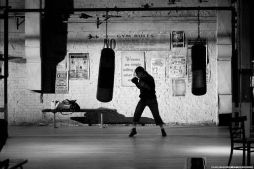 В большой аквариум поместили щуку. 01 В большой аквариум поместили щуку. 01