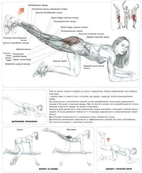 22 лучших упражнения для идеальных ягодиц. 01 22 лучших упражнения для идеальных ягодиц. 01