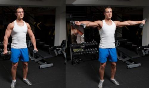 Как сжечь жир гантелями. Мы сжигаем жир с помощью гантелей.