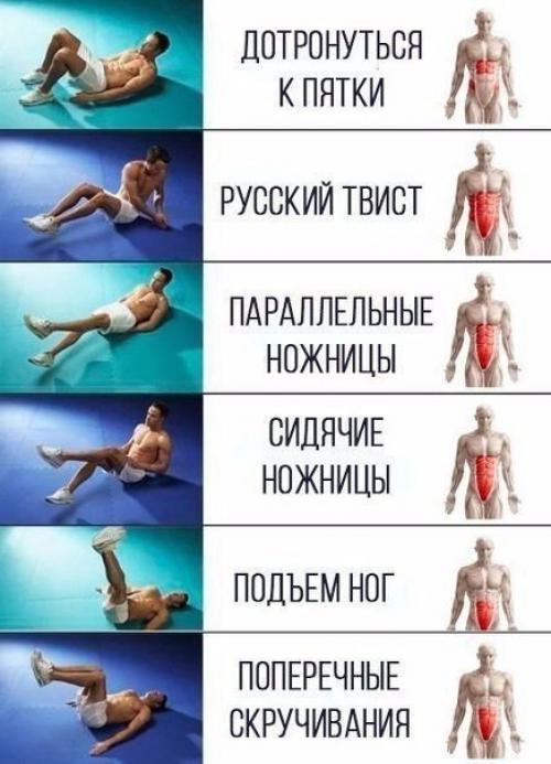 Упражнения на разные группы мышц пресса? 02