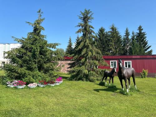 После возвращения из санатория очень важно продолжать заботиться о своем здоровье и поддерживать полученные результаты. 01