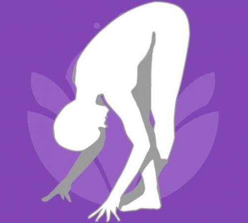 Пожалуй, Пучок - во всех его многочисленных проявлениях - универсальная палочка - выручалочка миллиона девушек! 01