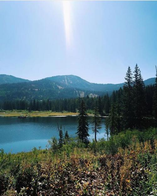 ? 5. Упражнений на все группы МЫШЩ. 01 ? 5. Упражнений на все группы МЫШЩ. 01