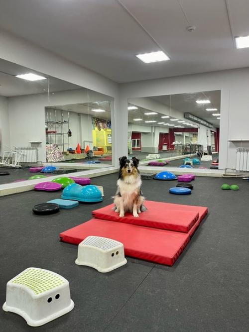 Последняя неделька перед НГ прошла на больничном, но это совсем не повод не работать и не делать дела, и не тренировать своих. 01