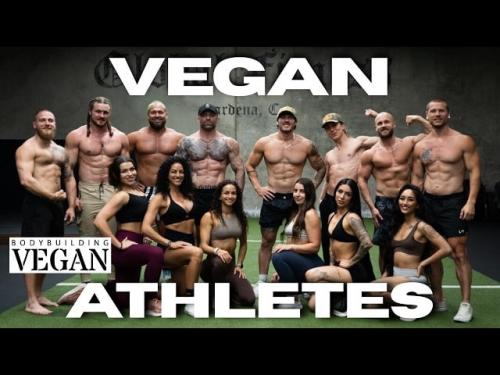 Растительный белок не уступает животному: миф о 