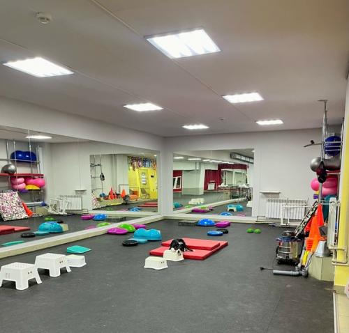 Последняя неделька перед НГ прошла на больничном, но это совсем не повод не работать и не делать дела, и не тренировать своих. 04