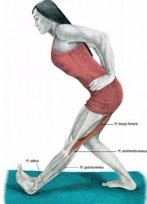 Растяжка мышц до и после тренировки. 02