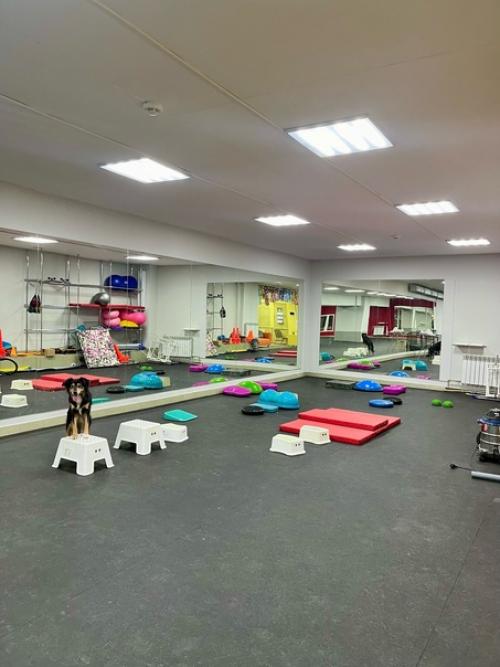 Последняя неделька перед НГ прошла на больничном, но это совсем не повод не работать и не делать дела, и не тренировать своих. 06