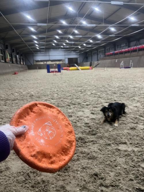 Последняя неделька перед НГ прошла на больничном, но это совсем не повод не работать и не делать дела, и не тренировать своих. 07