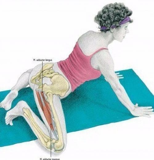 Растяжка мышц до и после тренировки. 04