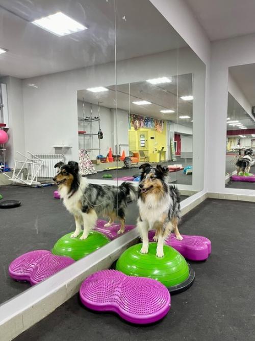 Последняя неделька перед НГ прошла на больничном, но это совсем не повод не работать и не делать дела, и не тренировать своих. 02