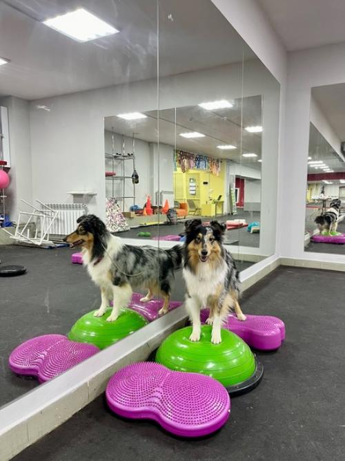 Последняя неделька перед НГ прошла на больничном, но это совсем не повод не работать и не делать дела, и не тренировать своих. 03