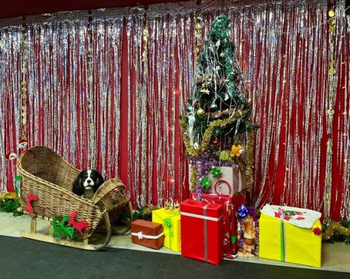 Последняя неделька перед НГ прошла на больничном, но это совсем не повод не работать и не делать дела, и не тренировать своих. 09