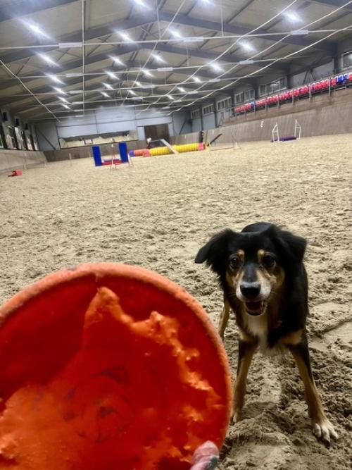 Последняя неделька перед НГ прошла на больничном, но это совсем не повод не работать и не делать дела, и не тренировать своих. 08