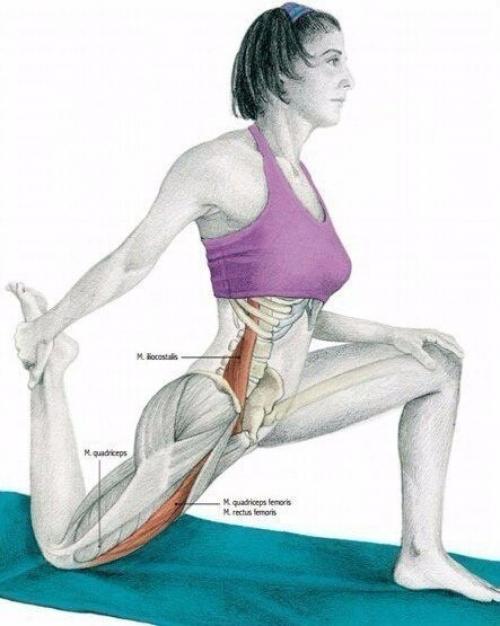 Растяжка мышц до и после тренировки. 05