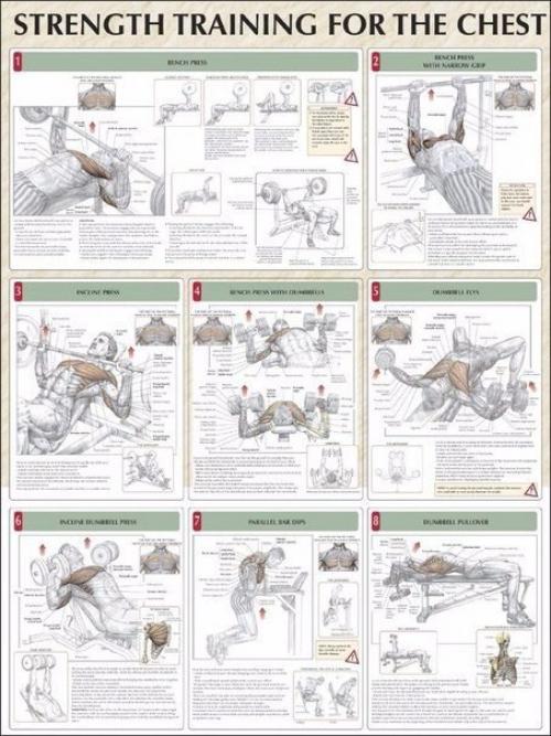 Упражнения на все группы мышц? 05