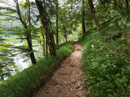 Трейл - как много в этом звуке …. 03 Трейл - как много в этом звуке …. 03