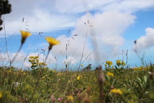 Имя: Ольга. Возраст: 25. 01