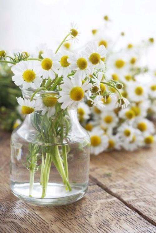 Доброе утро. Пусть в вашем доме будет всё;. 05