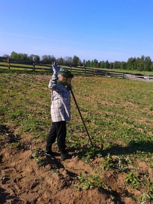 Часто думаю, как бы я в городе гуляла по улицам Дышала Свежим Воздухом так сказать. 04