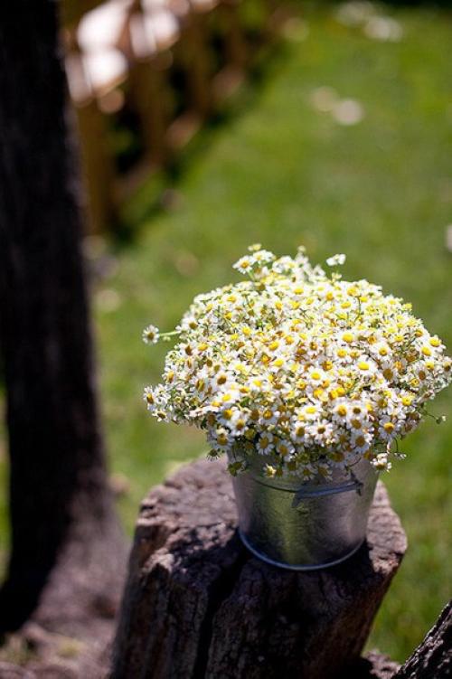 Доброе утро. Пусть в вашем доме будет всё;. 02