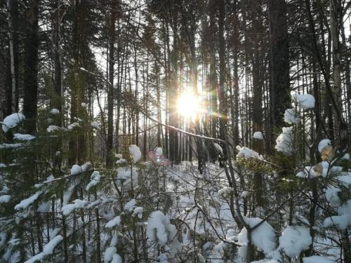 Трейл - как много в этом звуке …. 04 Трейл - как много в этом звуке …. 04